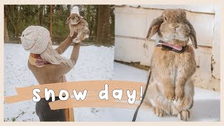 Snow Day with my Rabbit! | Behind the Bun