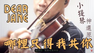 香港音樂 Violin Cover | DearJane 哪裡只得我共你 | 小提琴廣東歌 | CantoPop | ViolinDilo |