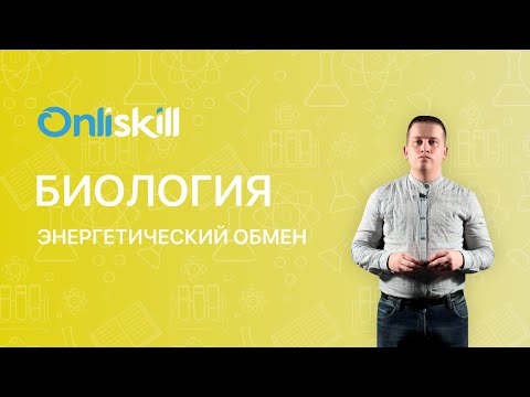 Энергетический обмен видеоурок 9 класс