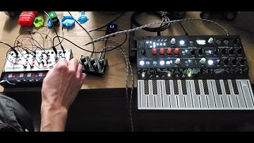 Volca Modular and Arturia Microfreak.