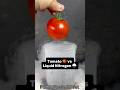Tomato 🍅 vs Liquid Nitrogen 🌧️ #Satisfying #Experiment #Science #ASMR #LiquidNitrogen