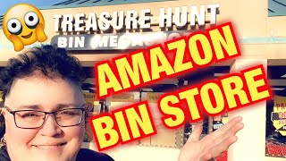 Uncovering Hidden Treasures on an Epic Road Trip: Amazon Bin Store!
