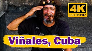 Viñales Valley, Cuba travel 4K