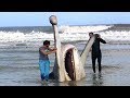 10 SCARIEST Sea Monsters Ever Caught!