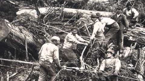 The West Coast Logging Legacy