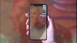 Easily convert your 3D models into AR ready USDZ for free.
