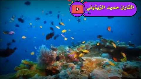 تلاوه جد  رائعه للقارئ حميد الزيتوني من سورة إبراهيم💖🎧