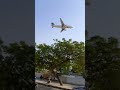 PIA a320 landing