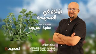 الدكتور عماد ميزاب يحذر من تناول النبتة المسمومة 