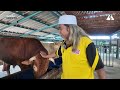 Kaedah semburan EM mampu kawal bau dan lalat dari aktiviti penternakan