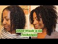 2020 Wash 'n Go Routine | fine natural hair