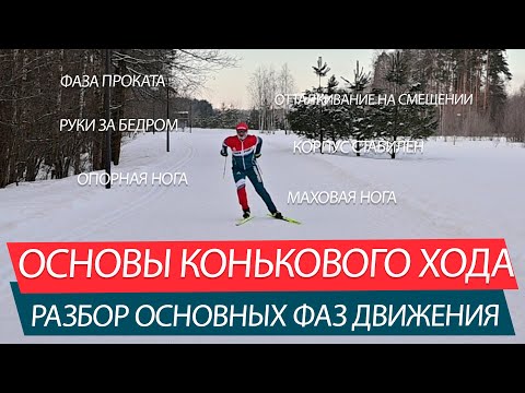 КОНЬКОВЫЙ ХОД - ОСНОВНЫЕ ФАЗЫ ДВИЖЕНИЙ