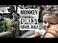 WHAT HAPPENED WHEN WE SAW WILD MONKEYS! - MONKEY FOREST - UBUD, BALI, INDONESIA - TRAVEL WITH KIDS