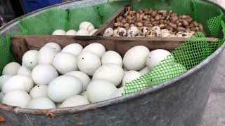 Amazing Eggs Drool-Worthy Meals In Indonesia Street Food