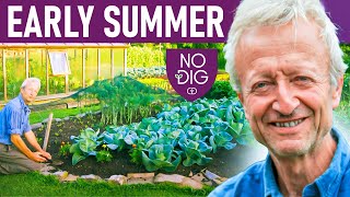 Speedy Replanting and Intersowing: Secrets to a Bountiful Early Summer Garden