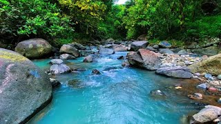 Menoreh Hills River Serenity | Crystal Clear Water for Relaxation and Meditation