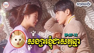 សង្សារខ្ញុំជាសត្វឆ្មា Ep.07-12 | សម្រាយរឿងភាគកូរ៉េ Meow, The Secret Boy | Diamond សម្រាយរឿង