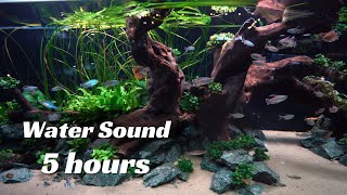 Relaxing Aquarium Fish Tank Sounds ~ NO MUSIC 5 hours No9