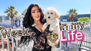 Famous a Real (Busy) Week in My Life living in LA 🩷 early 30s diaries Net Worth