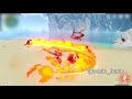 NEW HU TAO LEAKED ANIMATIONS