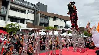 Springvale Festival 2023 | Hung Hing Lion Dance On High Poles