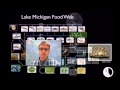 Interdependent Relationships in Ecosystems and Their Impact on Biodiversity