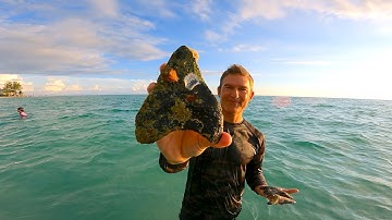 100 Megalodon Shark Teeth Found Fossil Hunting Underwater!!!
