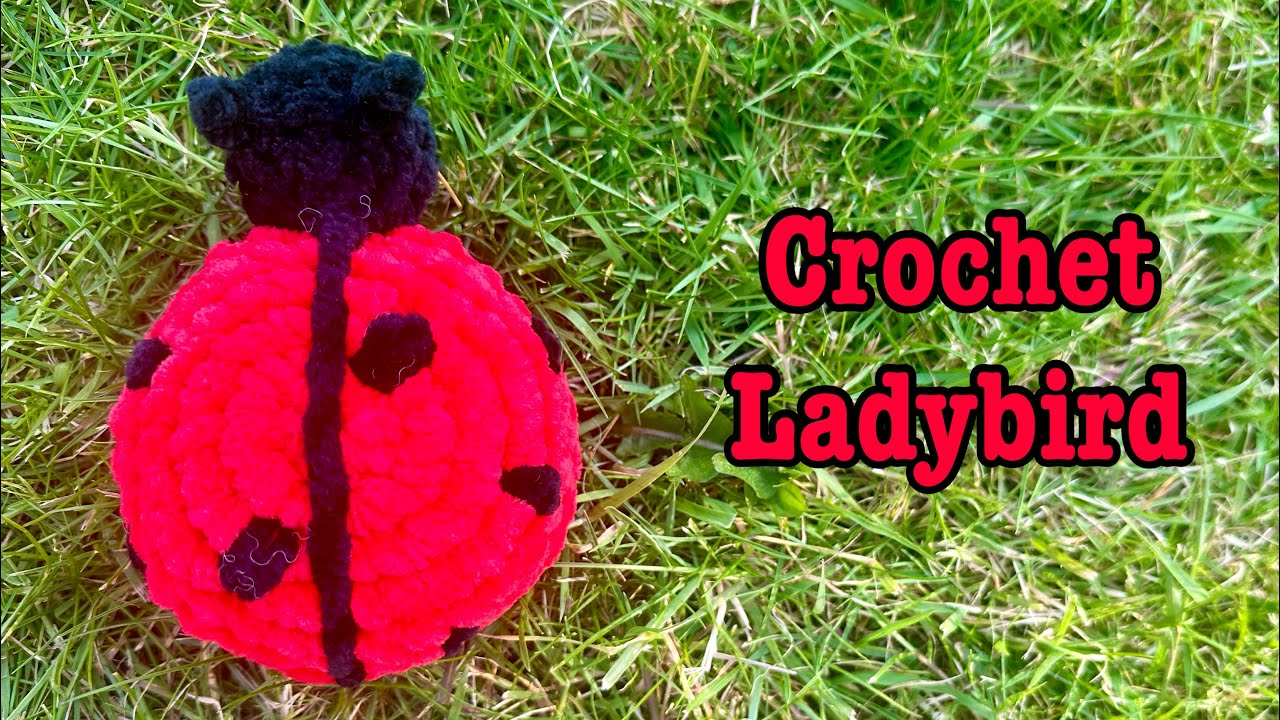 Crochet along a ladybird with me🐞/ Crochet ladybird/ Super easy beginner friendly/ Market bestseller