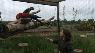 Le parc animalier d'Ecouves a 10 ans