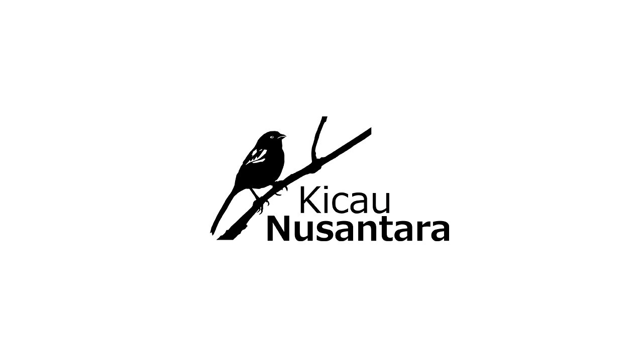 Kicau Burung Cucak Ijo Gacor Full Isian Youtube