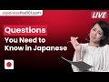 Meeting Someone for the First Time: Questions You Need to Know in Japanese
