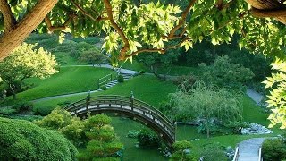 Reflections 4 ☯ (calming nature & music)