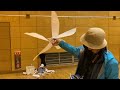 ２０２３０１１５ Indoor Air Planes 　室内　ラジコン　飛行機　100グラム以下　インドアプレーン