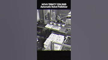 Automatic Robot Palletizer  #automaticpackaging #packagingmachine #palletizer #machine #shorts
