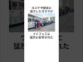 献血に協力したオタクを批判するツイフェミのウソみたいな雑学#shorts #雑学 #雑学王