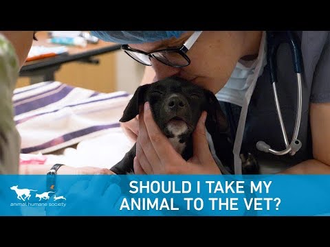 Ima li humano društvo veterinara?