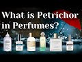 What Is Petrichor In Perfumes? Green Earthy After Rain Fragrances Geosmin Perfume Science Collection