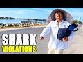 Florida Man Caught Poaching Bonnethead Sharks