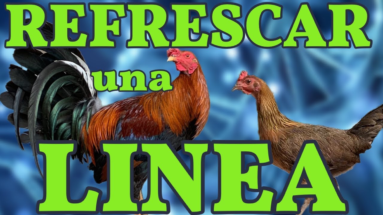 ¿COMO RERESCAR UNA LINEA? (PARTE 1).... metodos y como  aplicarlos correctamente
