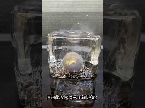BRHSSB vs ice