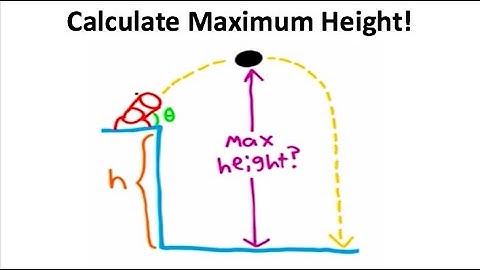 What Is The Maximum Height? (Physics Shorts)