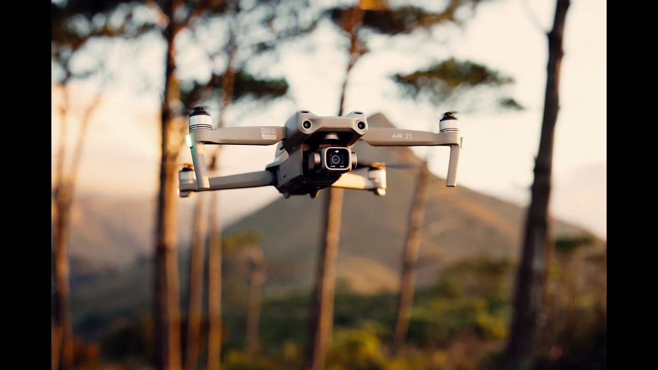 Vivo drone