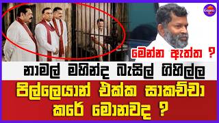 නාමල් මහින්ද බැසිල් ගිහිල්ල පිල්ලෙයාන්  එක්ක සාකච්චා කරේ මොනවද ? | මෙන්න ඇත්ත ?