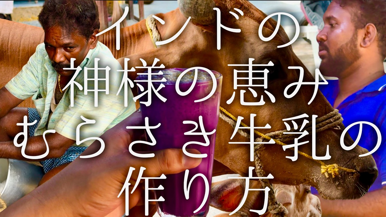 インドの神様の恵みむらさき牛乳の作り方 / Jamun Milk