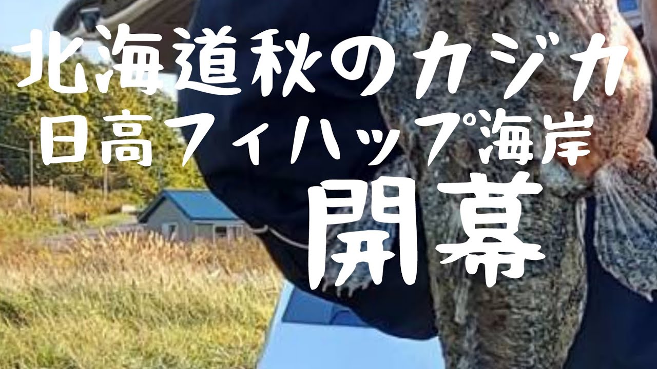 北海道秋のカジカ開幕 日高フィハップ海岸 まつかわも釣果アップ 楽釣会 はもたん かずさんいいかい Youtube 北海道秋のカジカ開幕 日高フィハップ海岸 まつかわも釣果アップ 楽釣会 はもたん かずさんいいかい Youtube