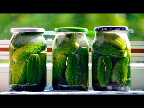Pickled cucumbers in a 1L jar - exact proportions