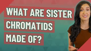 What are sister chromatids made of?