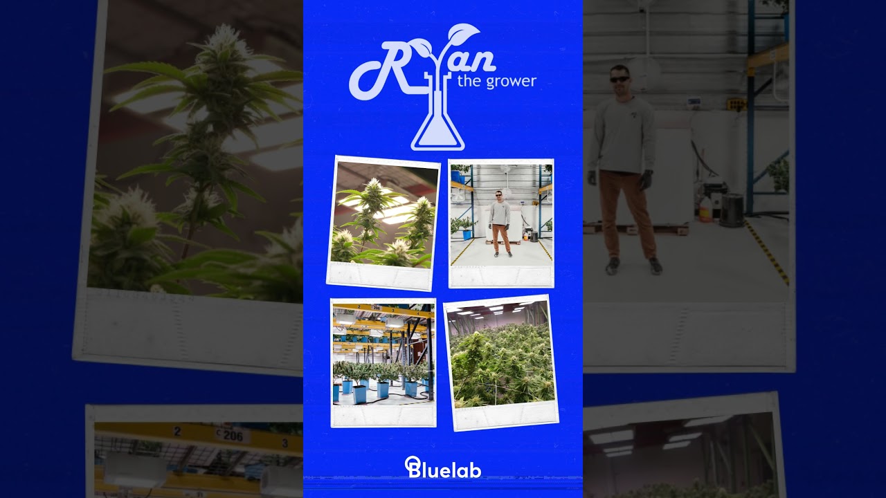 Ryan the Grower's Medicinal Cannabis Facility in Maine uses the Bluelab pH Controller