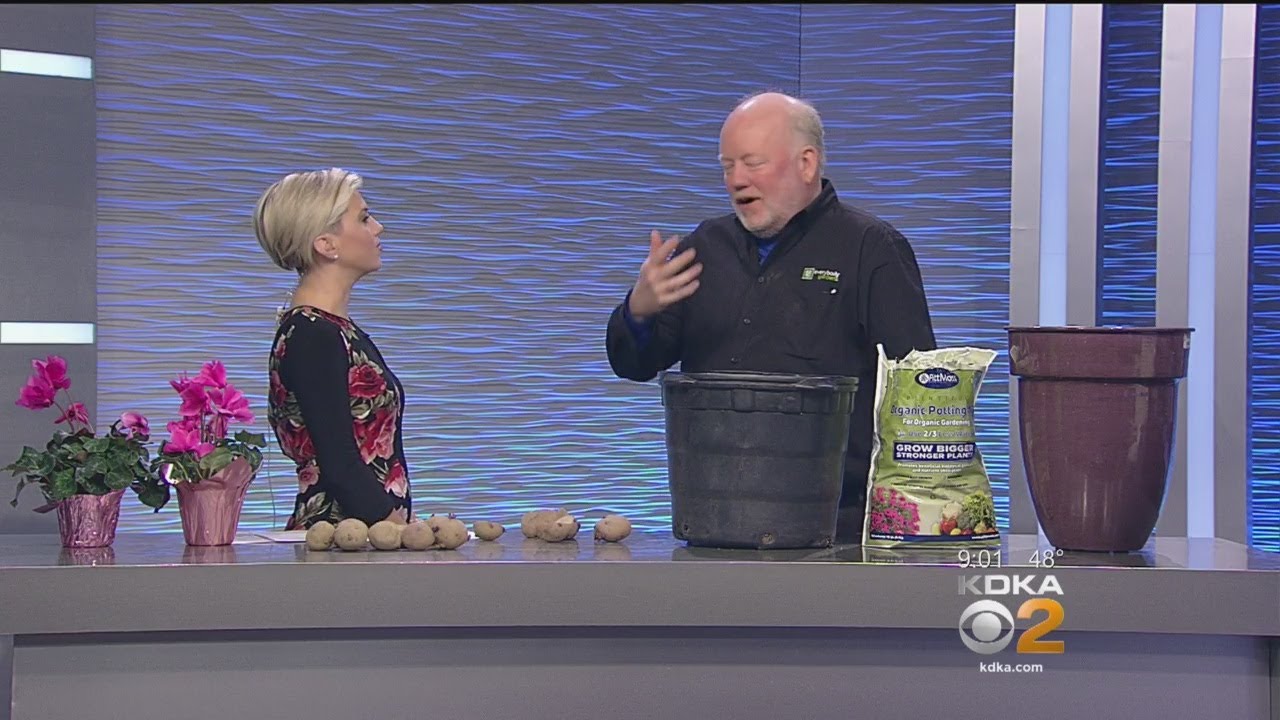 Doug Oster’s Potato Planting Advice