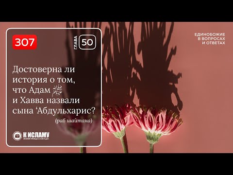 307. Достоверно ли, что Адам и Хавва назвали сына ‘Абдульхарис? Единобожие в вопросах и ответах
